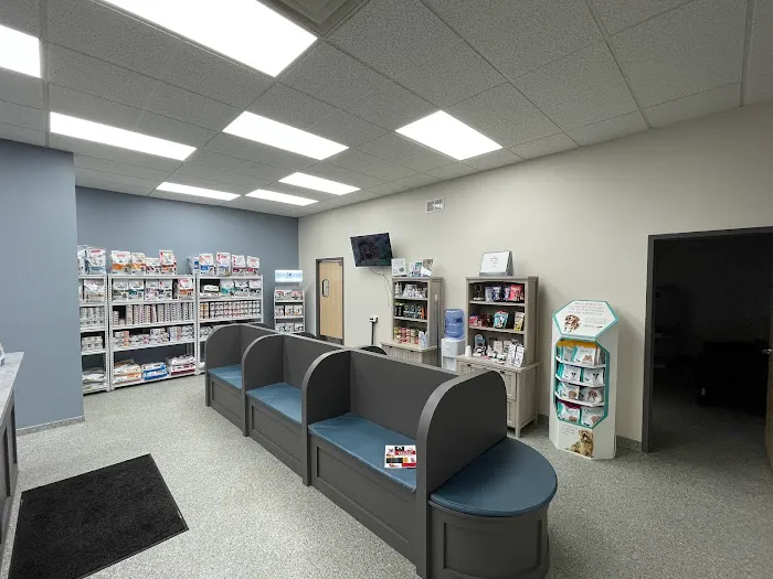 Klein Animal Clinic 5