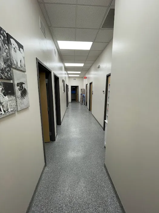 Klein Animal Clinic 8