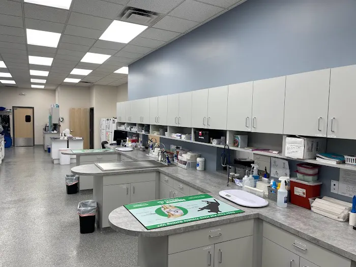 Klein Animal Clinic 9