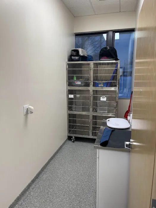 Klein Animal Clinic 10