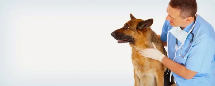 Animal Emergency Center Of The Quad Cities 12