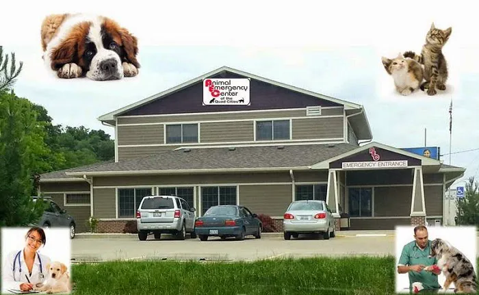 Animal Emergency Center Of The Quad Cities 12
