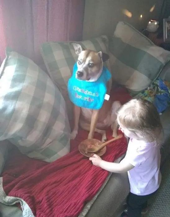 Becker Veterinary Clinic 12