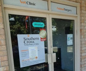 Bellevue Veterinary Clinic