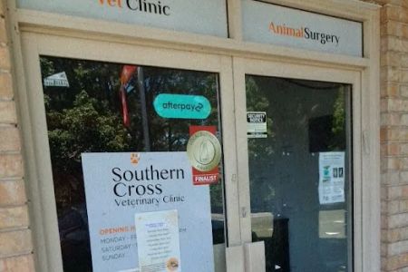 Bellevue Veterinary Clinic