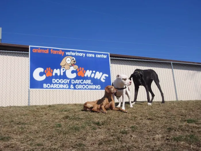 Animal Family Veterinary Care Center 12