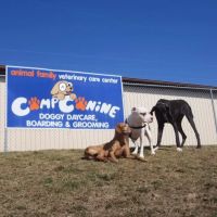 Animal Family Veterinary Care Center ico
