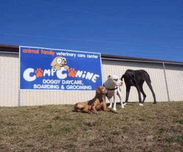 Animal Family Veterinary Care Center