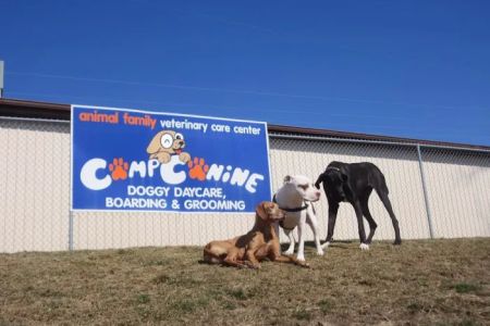 Animal Family Veterinary Care Center