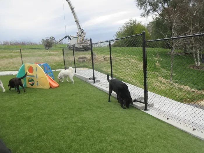 Animal Family Veterinary Care Center 12