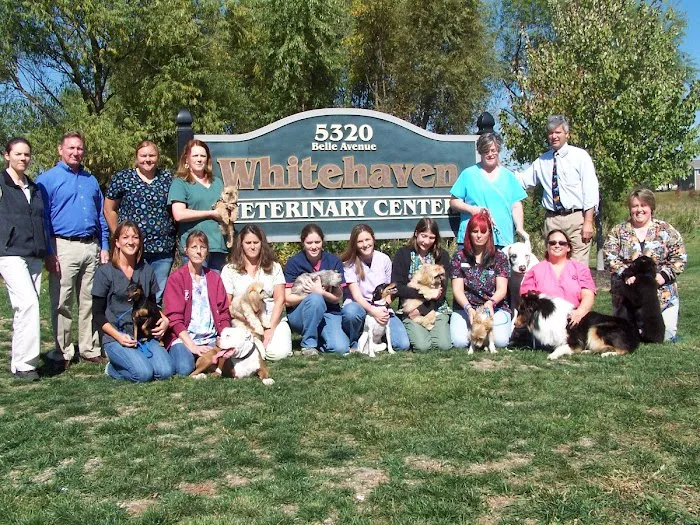 Whitehaven Veterinary Center Pets and Pigs 12