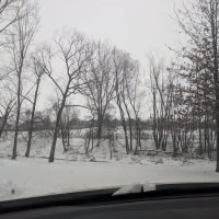 Whitehaven Veterinary Center Pets and Pigs ico