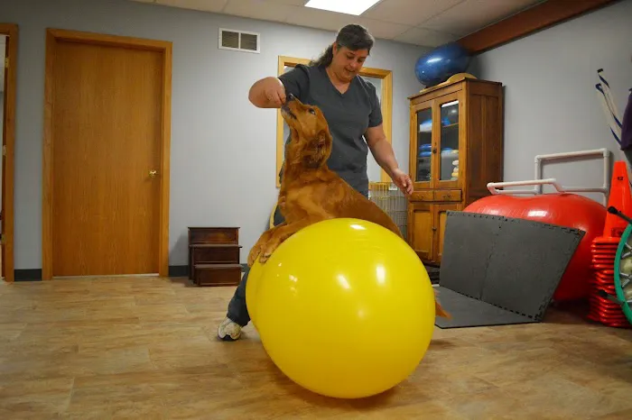Another Way Veterinary Rehabilitation & Chiropractic Care 7