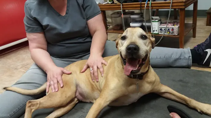 Another Way Veterinary Rehabilitation & Chiropractic Care 6