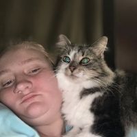Creekside Veterinary Hospital & Referral Center ico