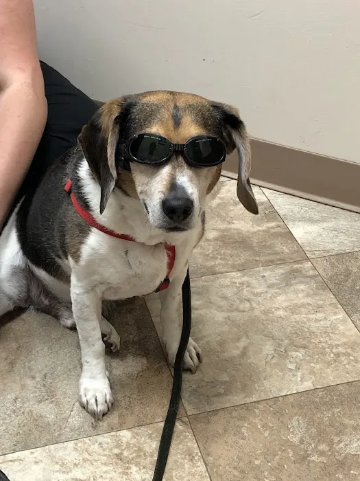 Care Animal Center 8