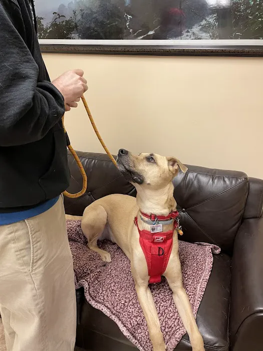 Care Animal Center 9