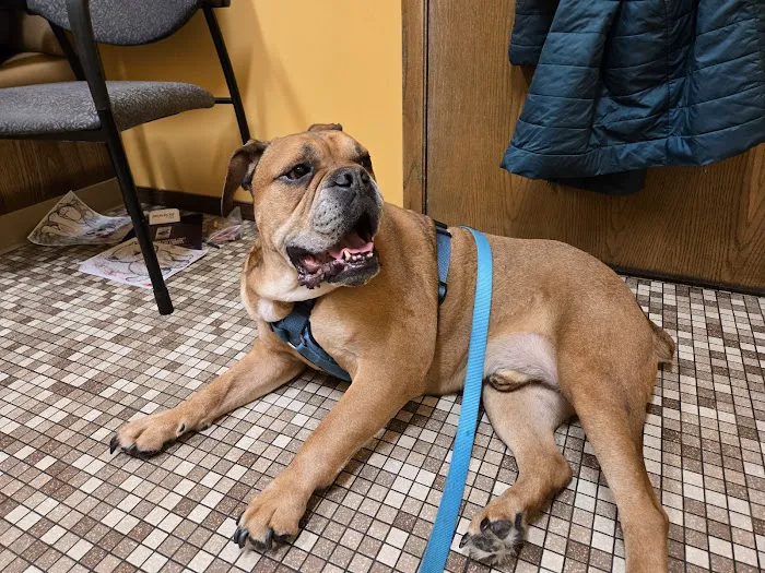 Kimberly Pines Veterinary Hospital 12