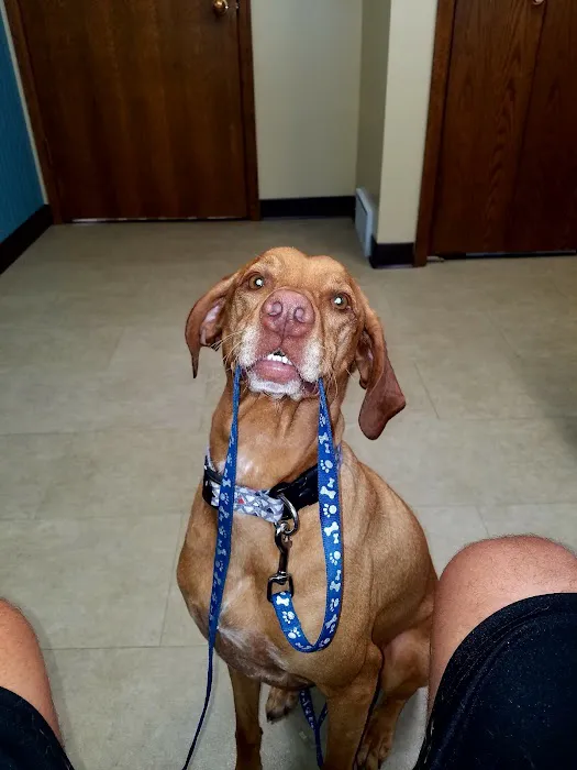Kimberly Pines Veterinary Hospital 12