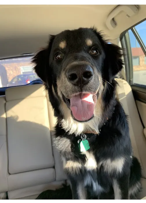 Kimberly Pines Veterinary Hospital 12