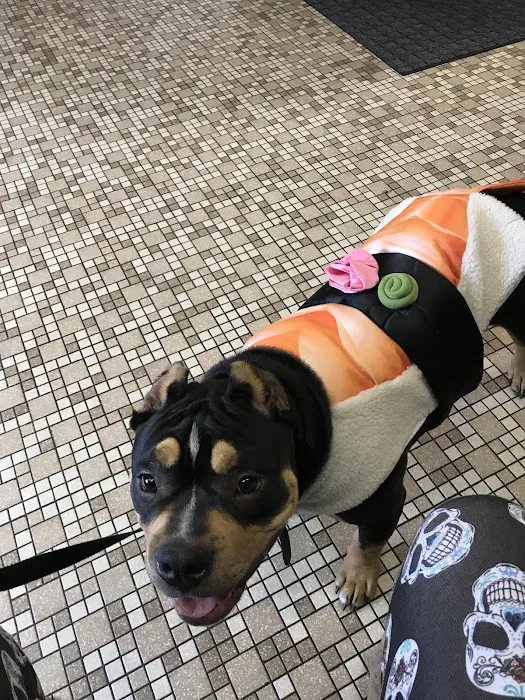 Kimberly Pines Veterinary Hospital 12