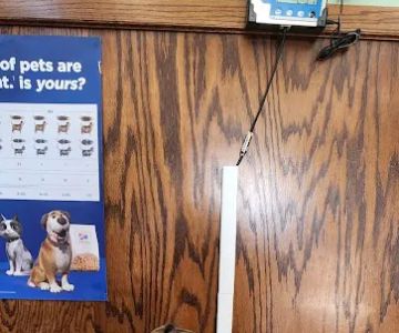 Kimberly Pines Veterinary Hospital: Buckingham Alinda DVM