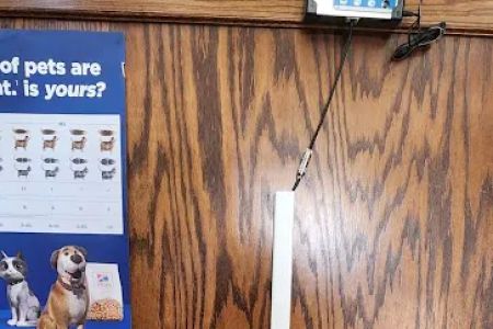 Kimberly Pines Veterinary Hospital: Buckingham Alinda DVM