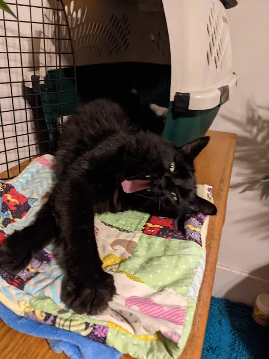 Precious Paws Veterinary Hospital 12