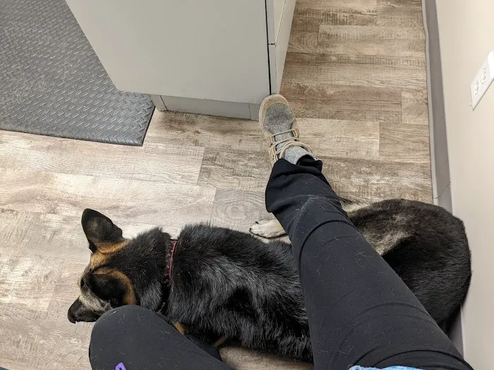 Precious Paws Veterinary Hospital 12