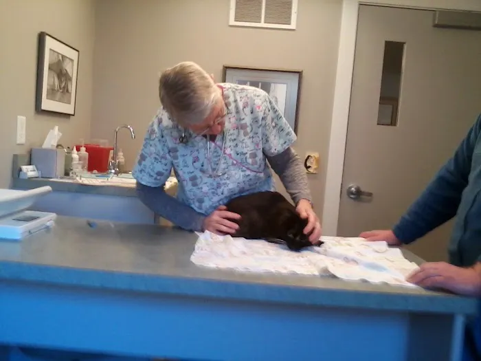 Cat Clinic of the Quad Cities 12