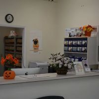 Dayton Animal Clinic, LLC ico