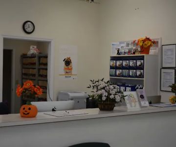 Dayton Animal Clinic, LLC