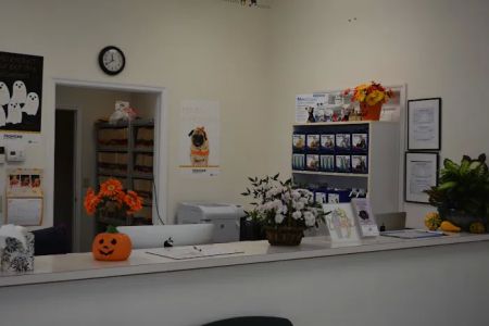 Dayton Animal Clinic, LLC