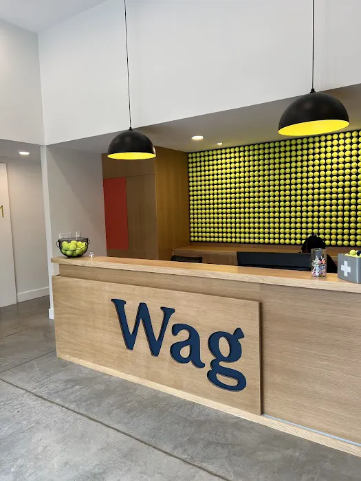Wag Veterinary 3