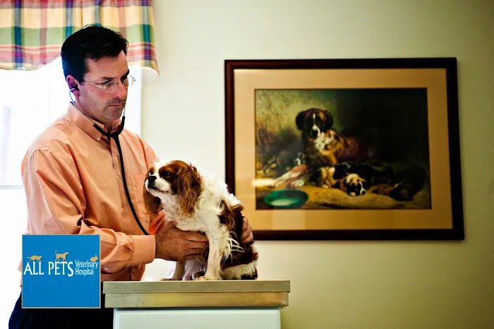 All Pets Veterinary Hospital 2