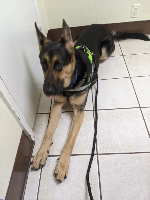 Colonial Heights Veterinary Hospital 12