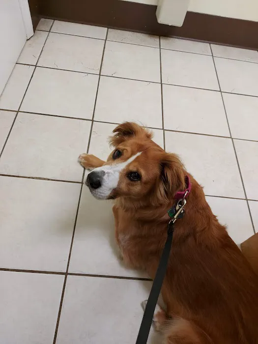 Colonial Heights Veterinary Hospital 12