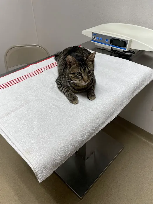 Hopewell Animal Hospital 12