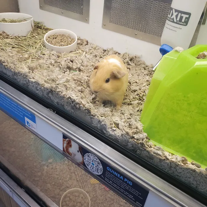 Petco 12