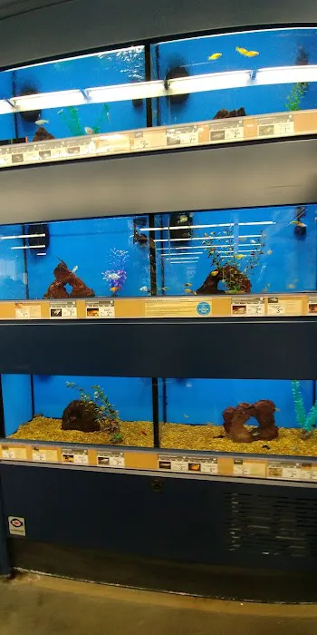 Petco 12