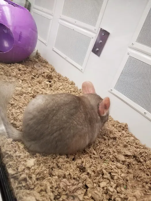 Petco 12