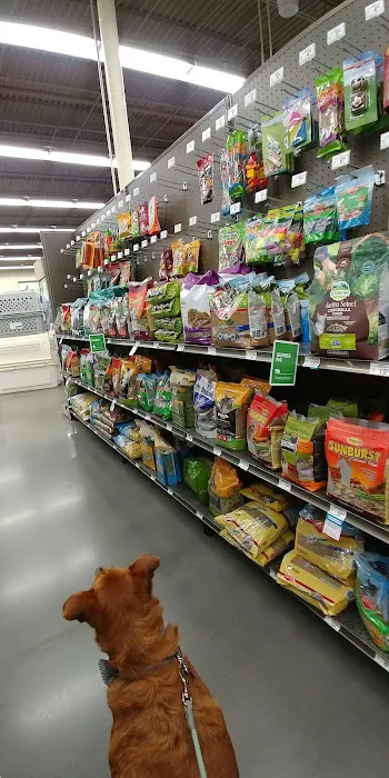 Petco 12