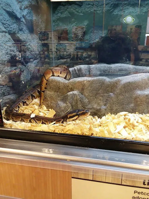 Petco 12