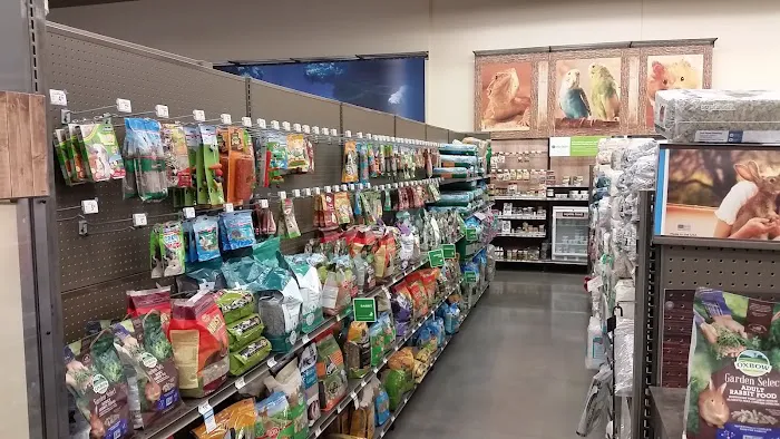 Petco 12
