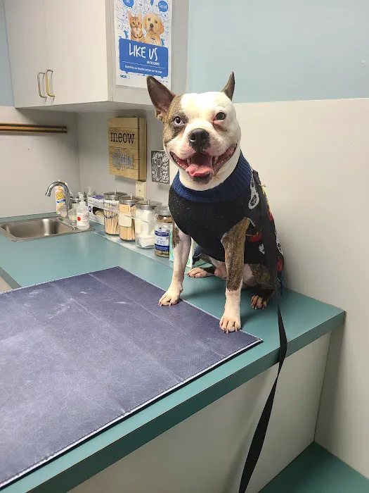 VCA Animal Care Associates 12