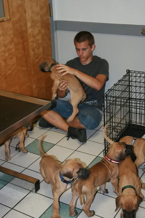 VCA Animal Care Associates 12
