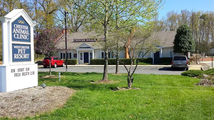 Chester Animal Clinic 4