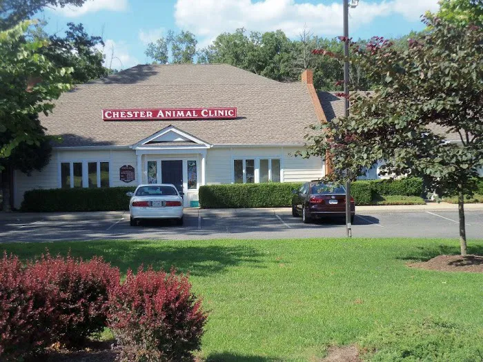 Chester Animal Clinic 9