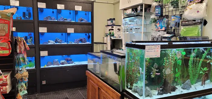 Fort Wagg Pet Store 3