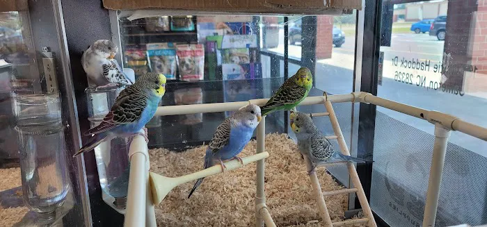 Fort Wagg Pet Store 2